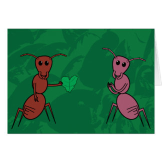 Cartão Inseto do amor