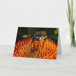 Cartão Inseto na ventoinha