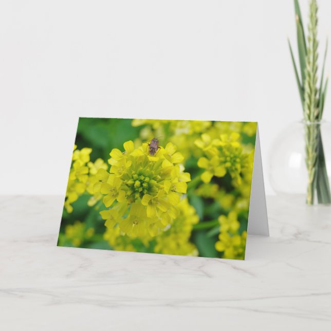 Cartão Inseto na ventoinha (Frente)