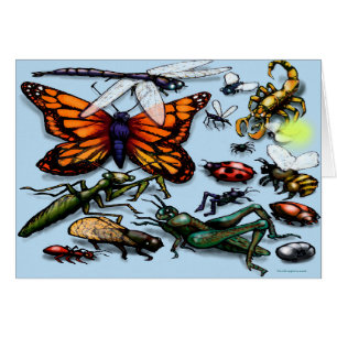 Cartão Insetos