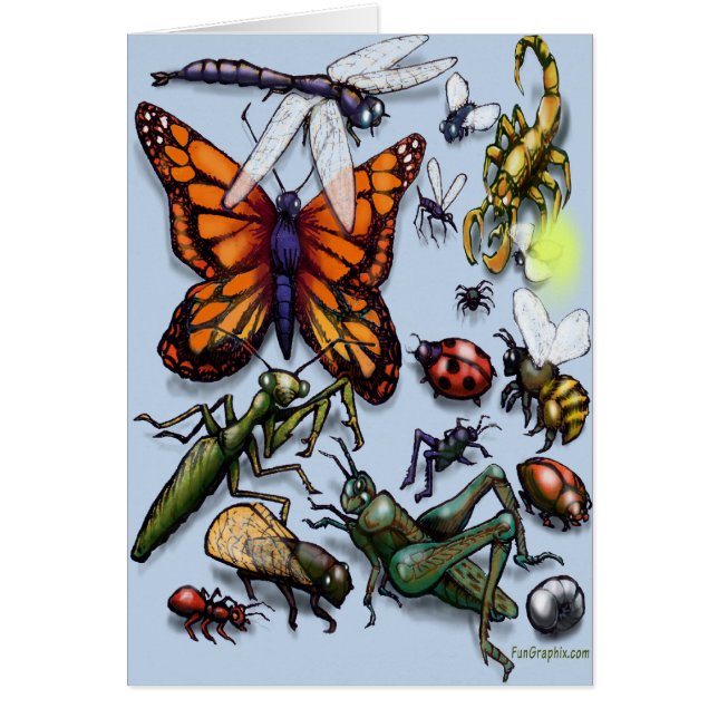 Cartão Insetos (Frente)