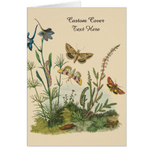Cartão Insetos de Jardim Antigo, Borboletas, Lagartas