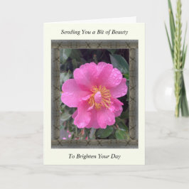 Cartão Inspiration Get well Card com Camellia Rosa