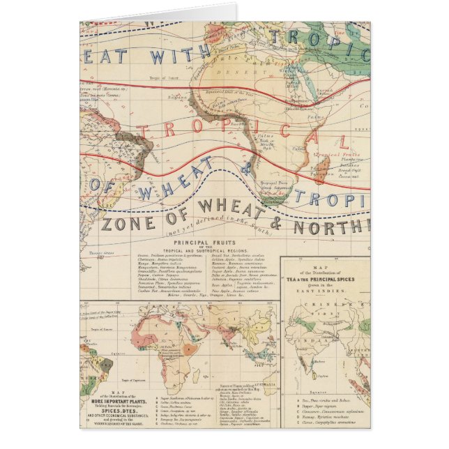 Cartão Instalações de distribuição (Frente)