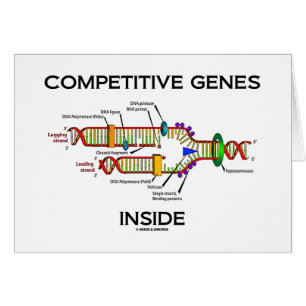 Cartão Interior competitivo dos genes (réplica do ADN)