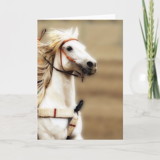 Cartão interno do vazio de prata da sombra (Frente)