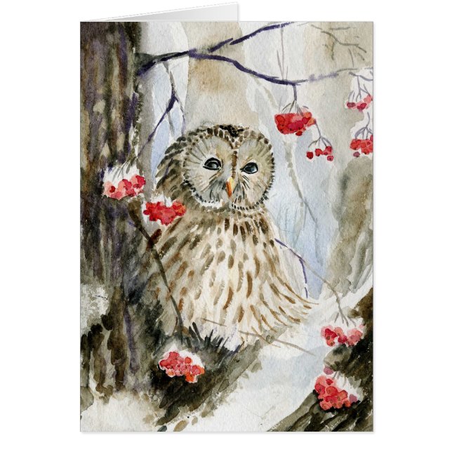 Cartão Inverno da neve da coruja barrada (Frente)