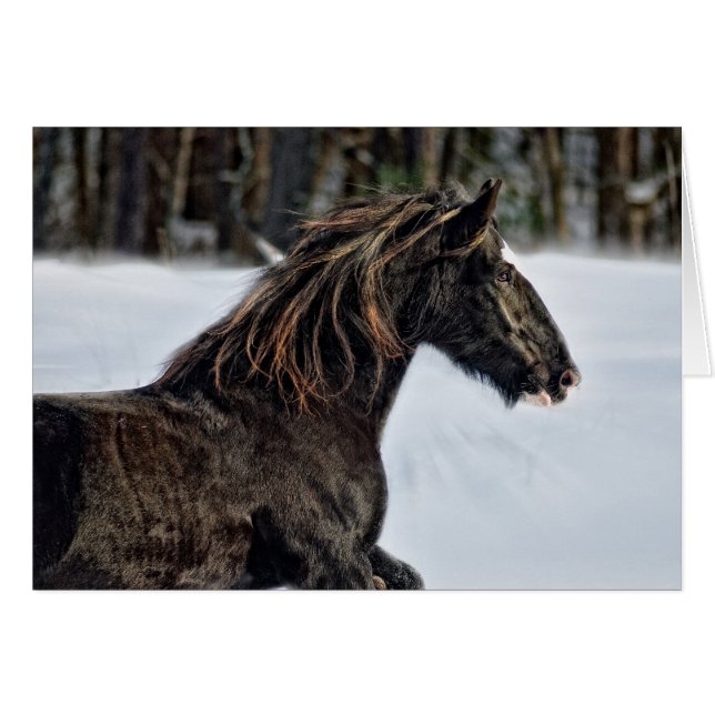 Cartão Inverno de Brenda Lee (Frente Horizontal)