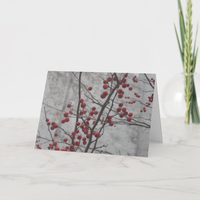 Cartão Inverno de NYC (Frente)