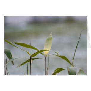 Cartão inverno está chegando