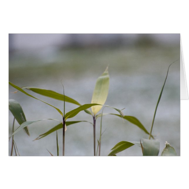 Cartão inverno está chegando (Frente Horizontal)