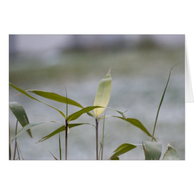 Cartão inverno está chegando (Frente Horizontal)