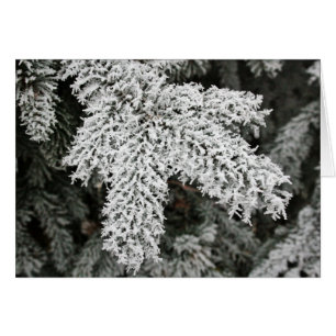 Cartão Inverno Frost