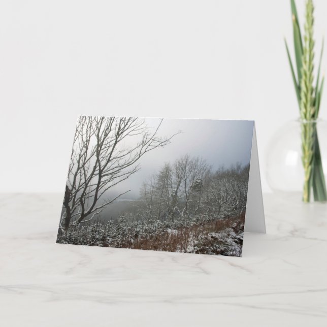 Cartão Inverno na Floresta Macclesfield (Frente)