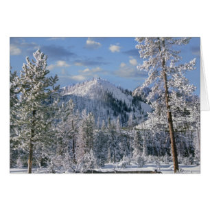 Cartão Inverno no Parque Nacional de Yellowstone, Wyoming