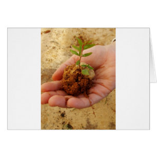 Cartão Investimento para o crescimento