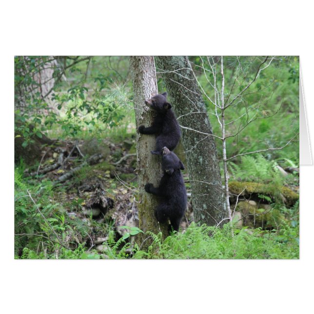 Cartão Ir acima (Frente Horizontal)