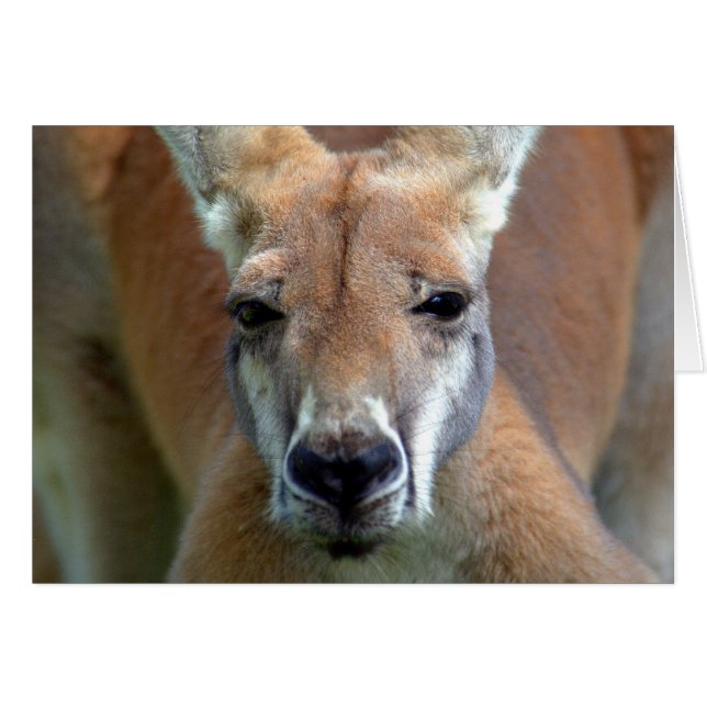 Cartão ir embora (Frente Horizontal)