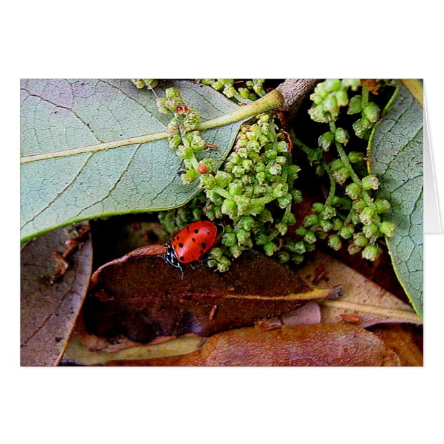 Cartão Ir para casa para jantar (Frente Horizontal)