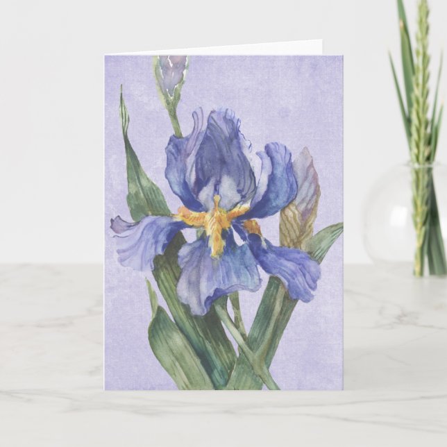 Cartão Iris (Frente)