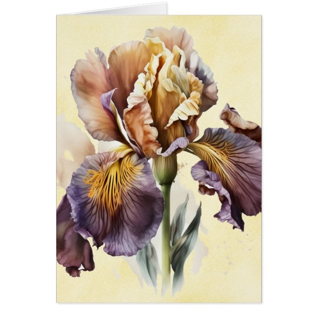 Cartão Iris (Frente)