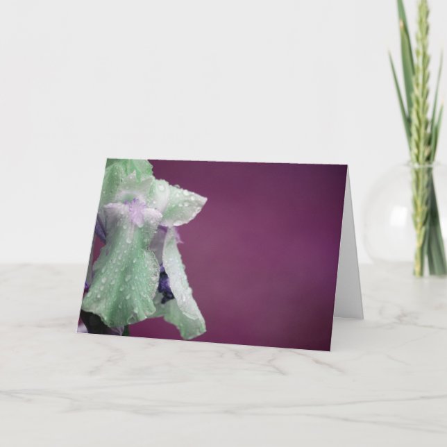 Cartão Íris (Frente)