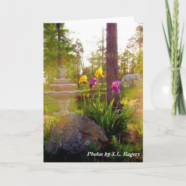 Cartão Iris (Frente)