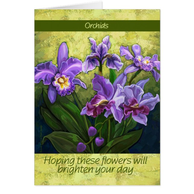 Cartão Iris (Frente)