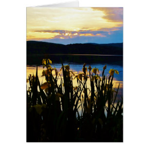 Cartão Íris Amarelo no lago da margem