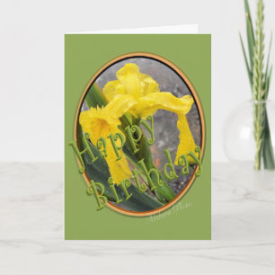 Cartão Iris Amarelo - Personalização de Aniversário