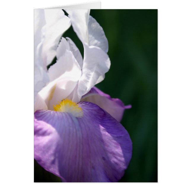 Cartão Iris Beauty (Frente)