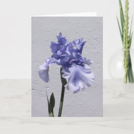 Cartão Iris Bloom