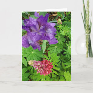 Cartão Iris bonito e tia Floral Lupina Aniversário