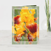 Iris ‘Michigan Pride’ [Cartão de Saudação] カ ド