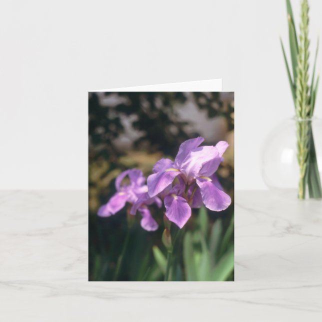 Cartão Íris Notecard (Frente)