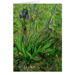 Cartão Íris por Vincent van Gogh, Flores de Jardim Vintag