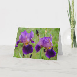 Cartão Íris Roxo - Flores - Dia de as mães - Aniversário