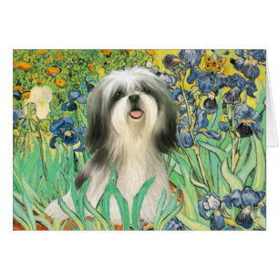 Cartão Íris - Shih Tzu (#3)