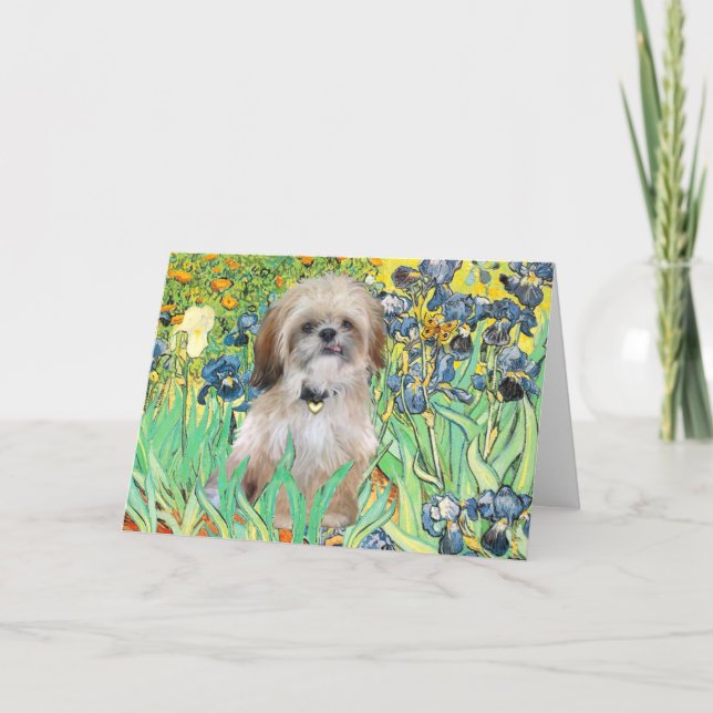 Cartão Íris - Shih Tzu (P) (Frente)