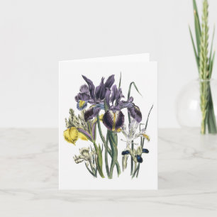 Cartão Iris Watercolor Blank Note Card