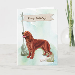 Cartão Irish Setter Breed Dog Sob Sinal De Aniversário