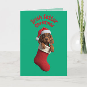 Cartão Irish Setter Christmas Stocks