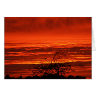 Cartão Irish Sunset, Cork, Ireland Cards
