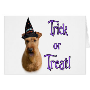 Cartão Irish Terrier Trick