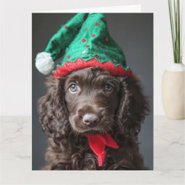 Cartão Irish Water Spaniel Elf Puppy