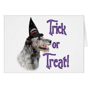 Cartão Irish Wolfhound Trick