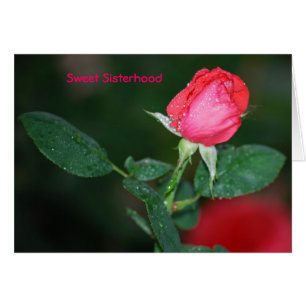 Cartão Irmandade doce