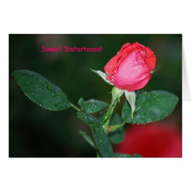 Cartão Irmandade doce (Frente Horizontal)