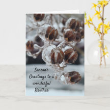 Irmão de Saudações da Época