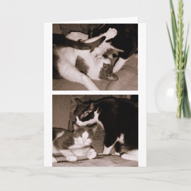 Cartão Irmãos - irmãos & irmãs (Frente)